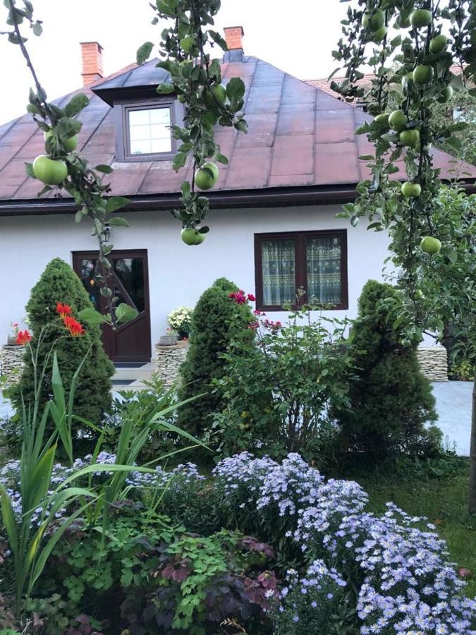 Вилла Casa Maria Бран Экстерьер фото