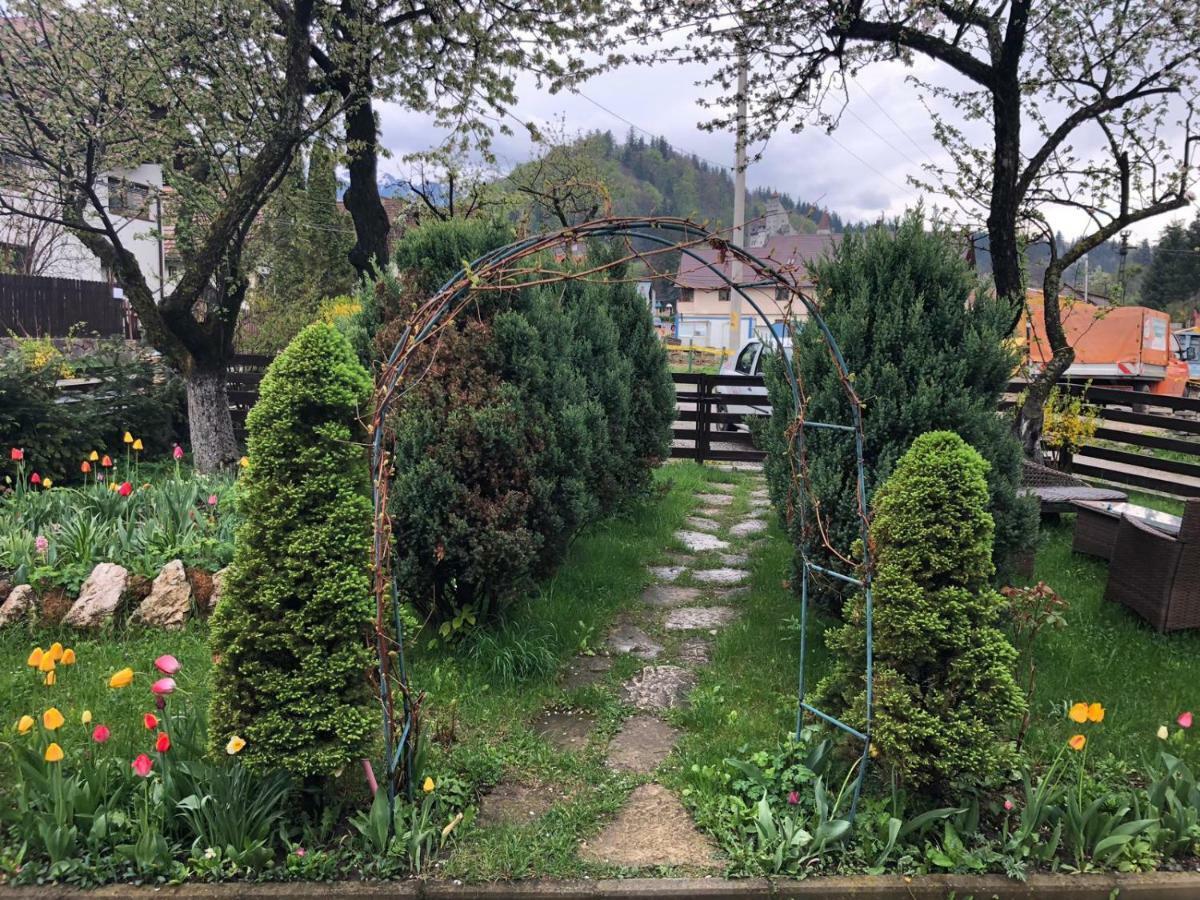 Вилла Casa Maria Бран Экстерьер фото